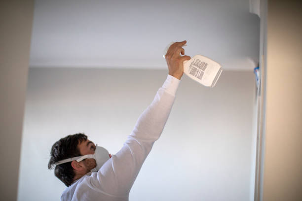 Best Certified Mold Removal  in Waurika, OK