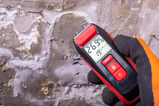 Best Mold Damage Repair  in Waurika, OK