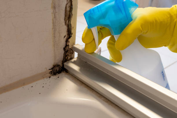 Best Crawl Space Mold Removal  in Waurika, OK