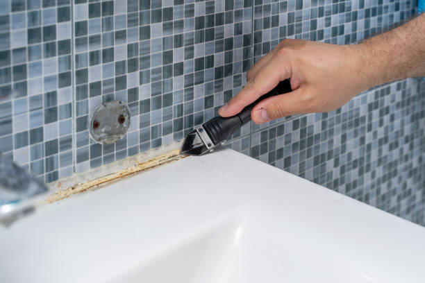 Best Office Mold Removal Services  in Waurika, OK