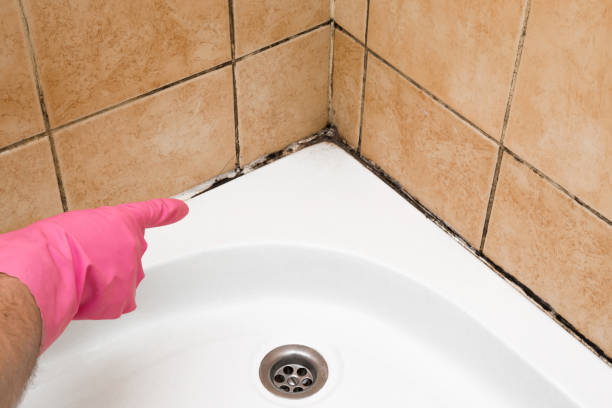 Best Residential Mold Removal  in Waurika, OK